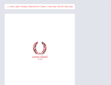 Tablet Screenshot of 15jahre.conne-island.de